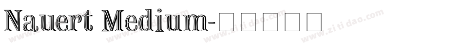 Nauert Medium字体转换